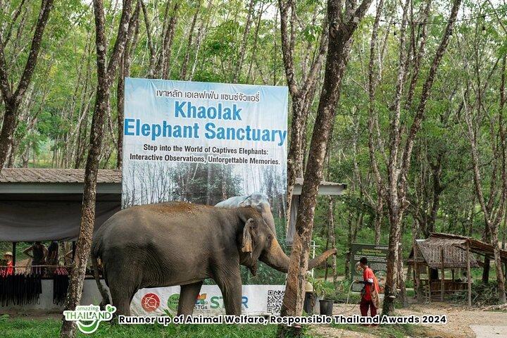 Khao Lak Elephant Sanctuary Small-Group Guided Tour