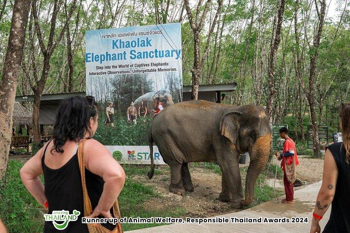 Khao Lak Elephant Sanctuary Small-Group Guided Tour