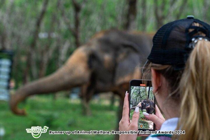 Khao Lak Elephant Sanctuary Small-Group Guided Tour
