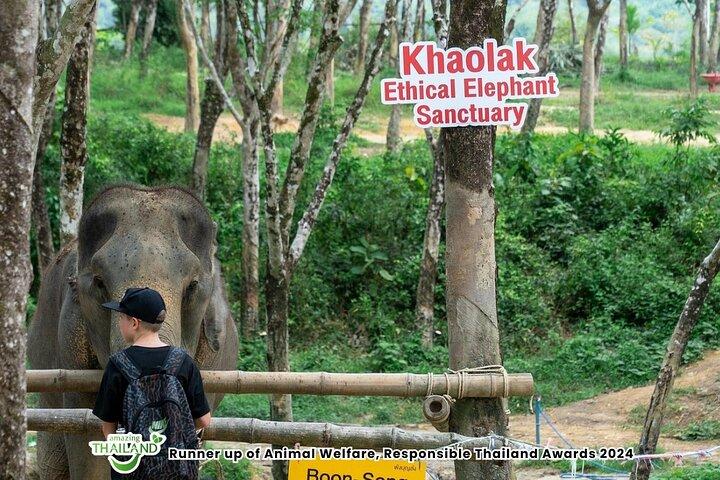Khao Lak Elephant Sanctuary Small-Group Guided Tour