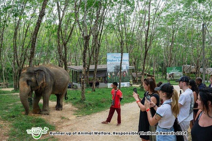 Khao Lak Elephant Sanctuary Small-Group Guided Tour