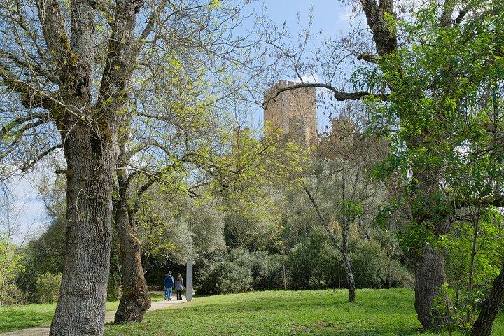 Templar River: Tomar and Almourol Private Tour