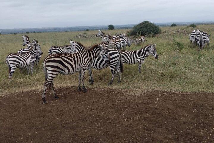 Nairobi National Park Half Day Tour with a visit to beads factory