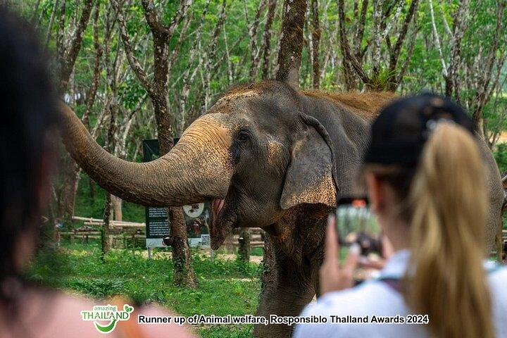 Khao Lak Elephant Sanctuary with Rubber Plantation & Waterfall