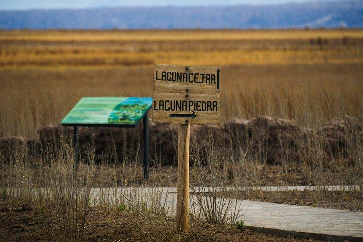 Laguna Cejar: Flota en las lagunas más famosas de Atacama