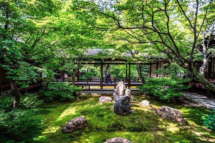 Kyoto Private Tour: One Day Highlights and Cultural Gems