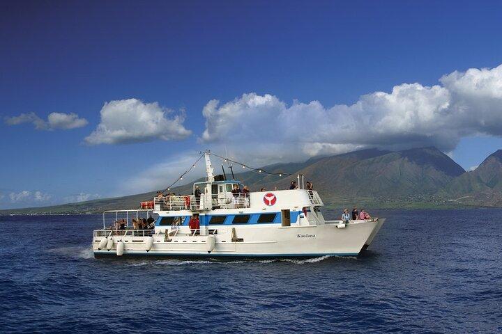 2-Hour Maui Whale Watch from Lahaina Harbor, Maui