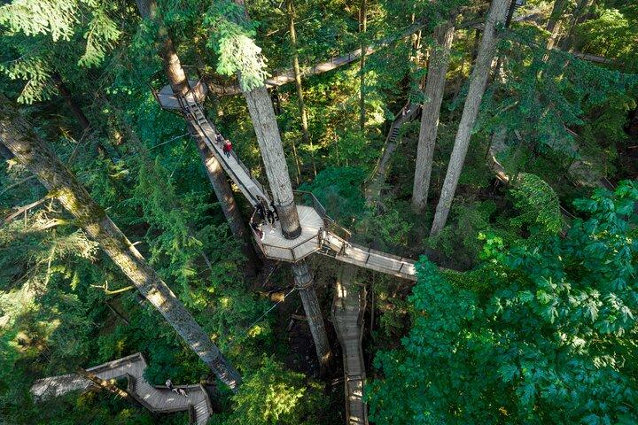 Capilano Suspension Brid, Lynn Canyon Park + 4 more sights Tour