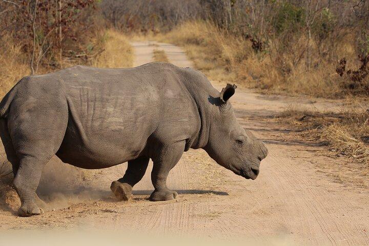5-Day Ultimate Triple Country Safari: Zimbabwe, Zambia & Botswana