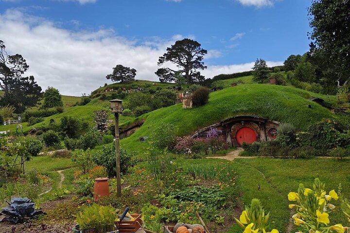 Hobbiton Movie Set Guided Day Tour with Lunch from Auckland