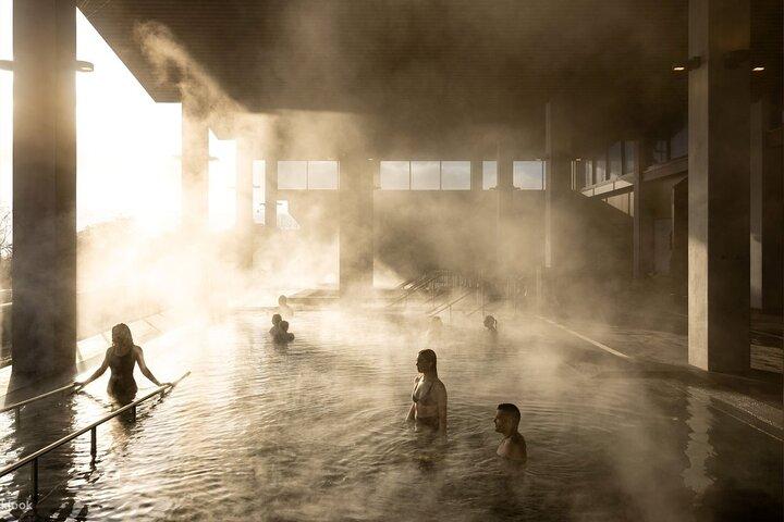 From Auckland Wai Ariki and Rotorua Redwoods Small Group Tour