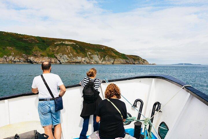 Howth Cliffs and Lighthouses Boat Tour