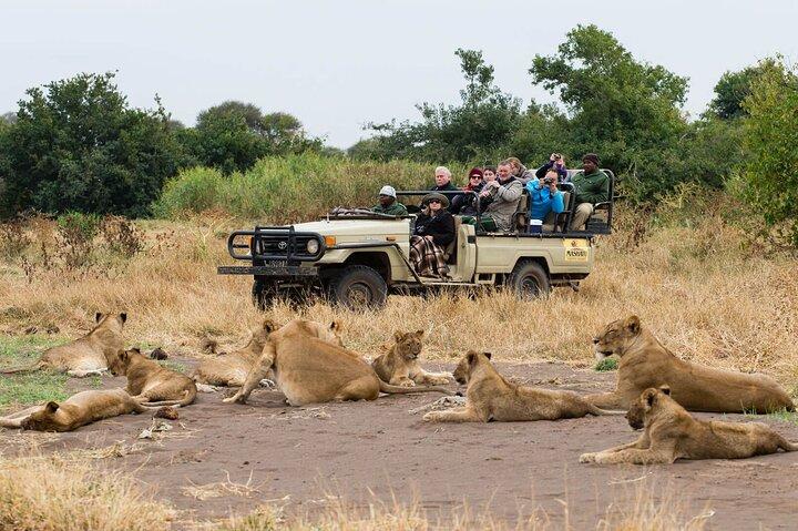 Moremi Full day Game Drive from Maun