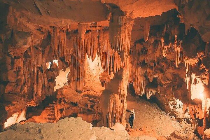 Ninh Binh Private Tour: Tam Coc, Bich Dong, Thung Nham Bird Park