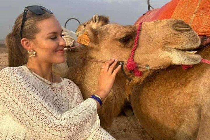 Marrakech Agafay Desert Sunset Camel Ride and Dinner Show