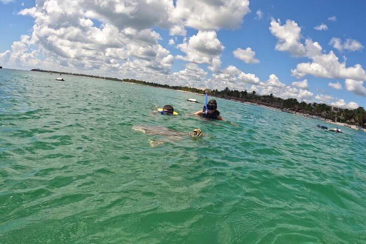 Akumal; Snorkeling with The Sea Turtles