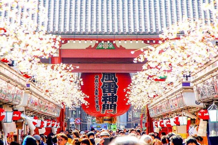 Private Full Day Tokyo Highlights Tour with Hotel Pickup