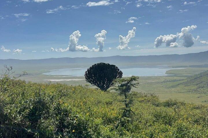 Day Trip to Ngorongoro Crater Garden of Eden