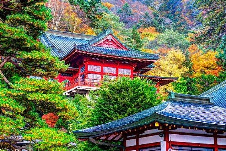 Private Nikko Tour with Hotel Pickup