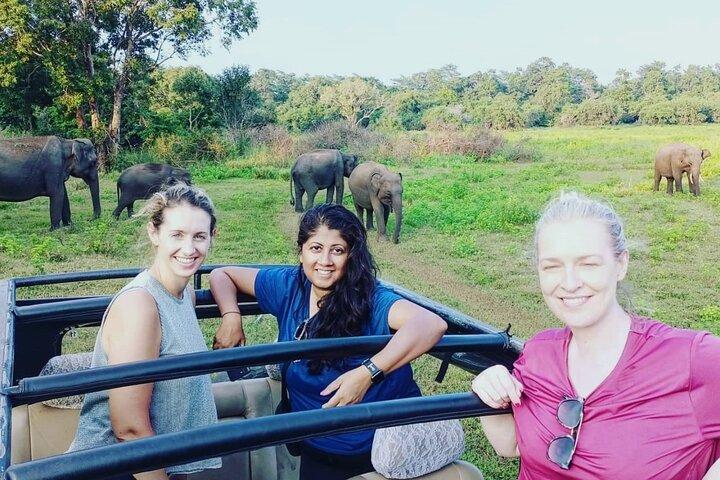 All Inclusive Safari at Minneriya National Park from Polonnaruwa