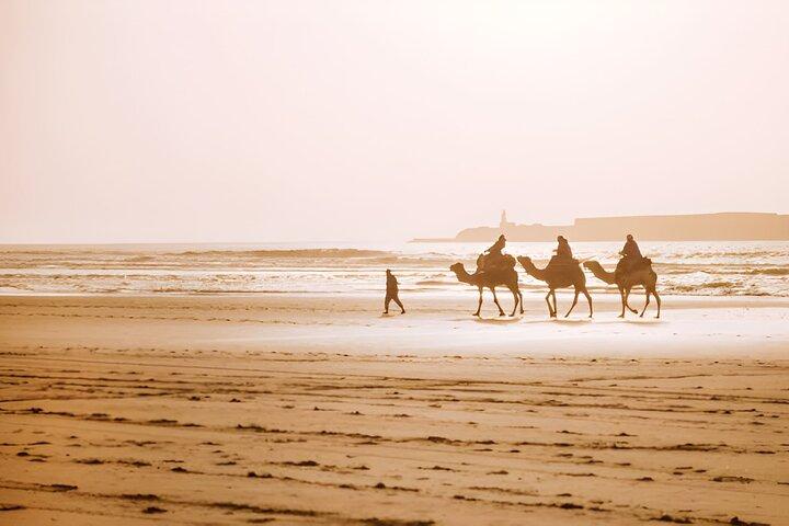 Private Full Day Trip to Essaouira from Marrakech