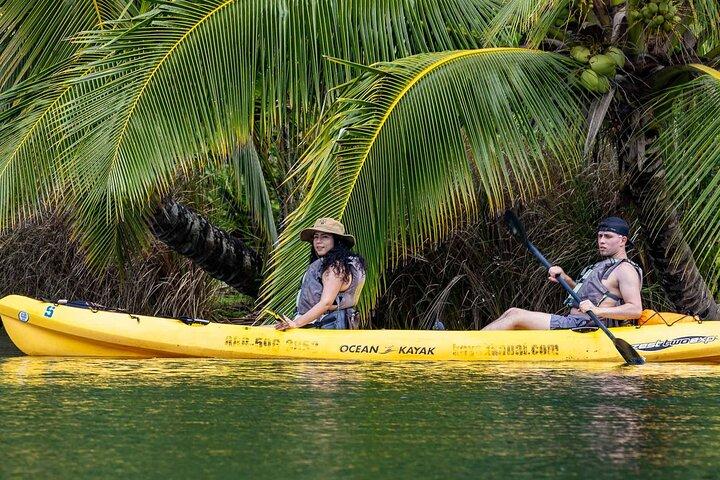 Kayak Adventure on the Roseau River in St Lucia