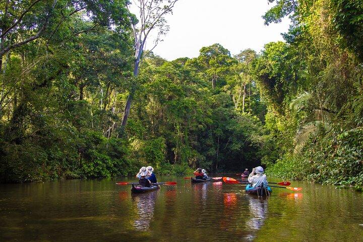 Kayak Adventure on the Roseau River in St Lucia