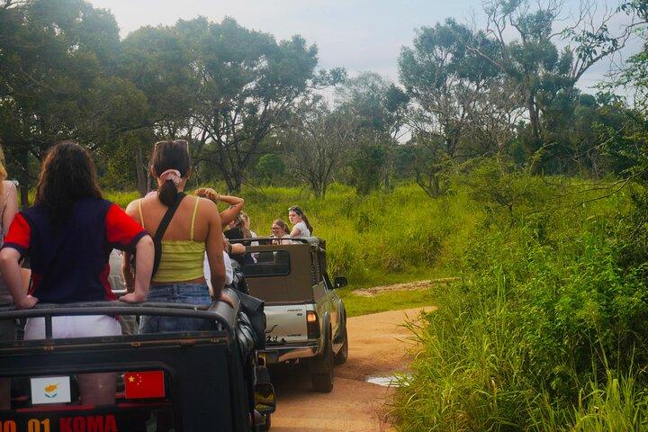 5 Days and 4 Nights Private Tour in Sri Lanka