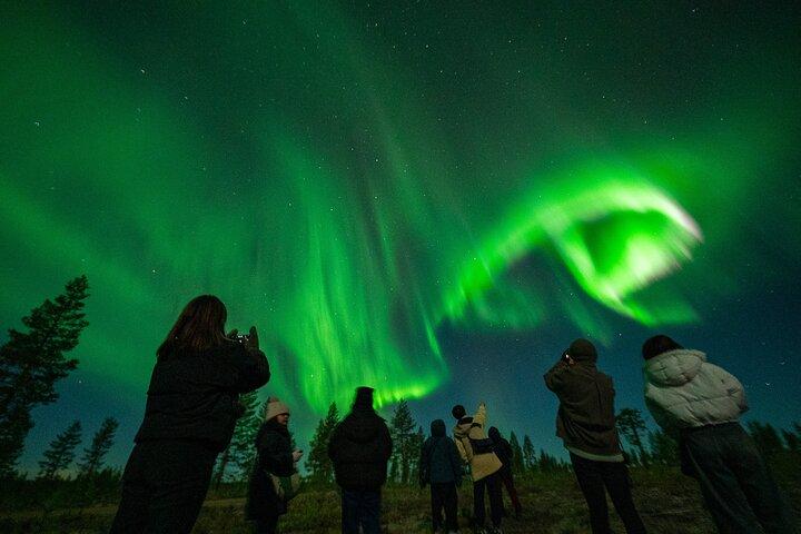 Rovaniemi:%100 Money Back Guarantee Northern Lights Hunting