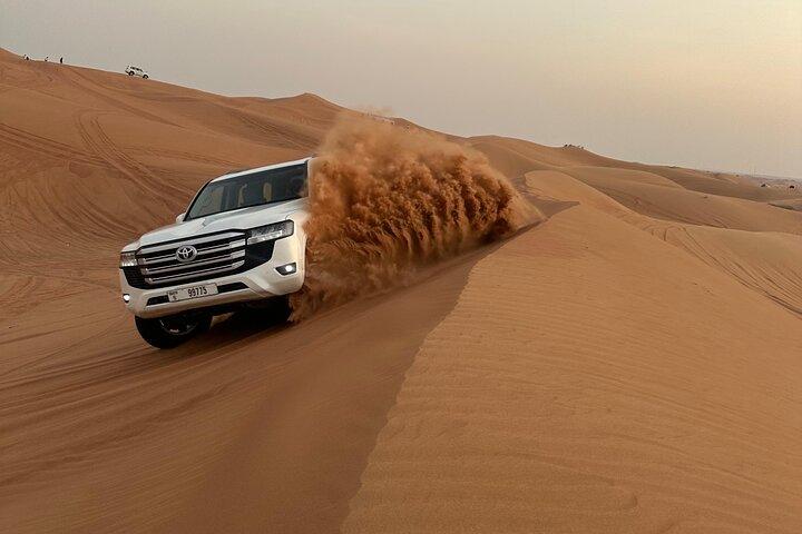 Evening Desert Safari Camel, Falcon, Sandboarding BBQ & Shows