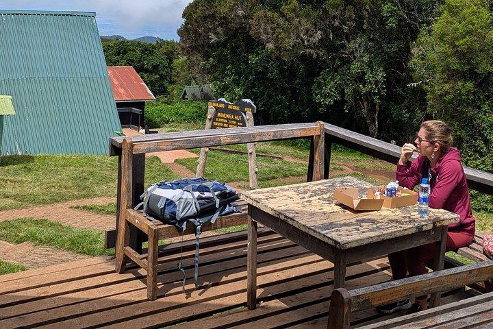 Kilimanjaro one day hike experience