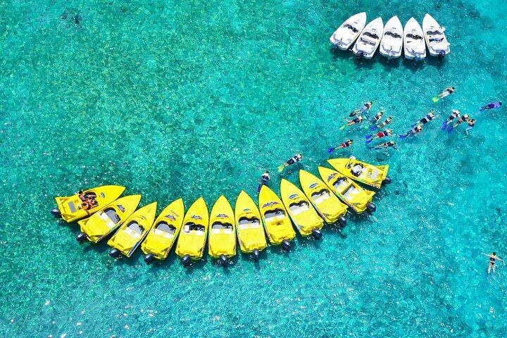Mangrove Jungle Speedboat Experience