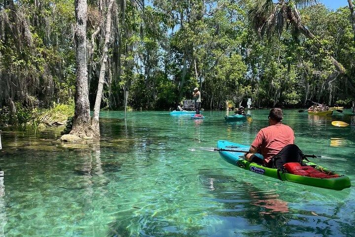 Crystal River: Three Sisters Single Kayak and Snorkeling Tour