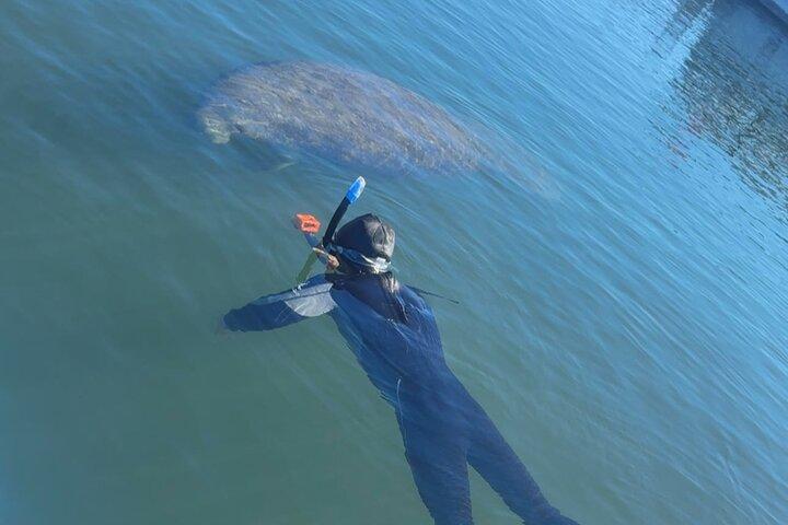 Crystal River: Three Sisters Single Kayak and Snorkeling Tour