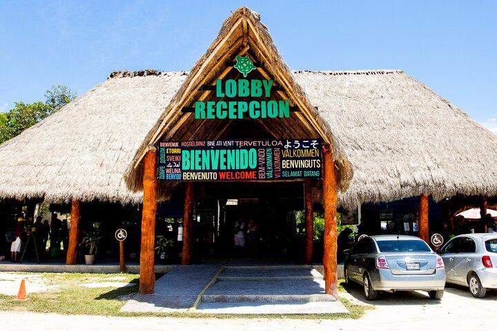 Casa Tortuga Natural Park, Explore 5 Cenotes with Lunch buffet