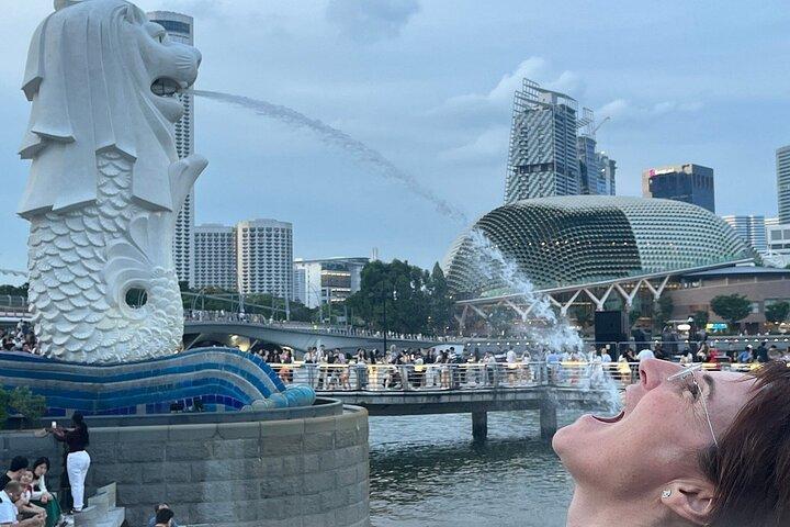 Singapore Guided Night Tour with 2 Light Shows & River Cruise