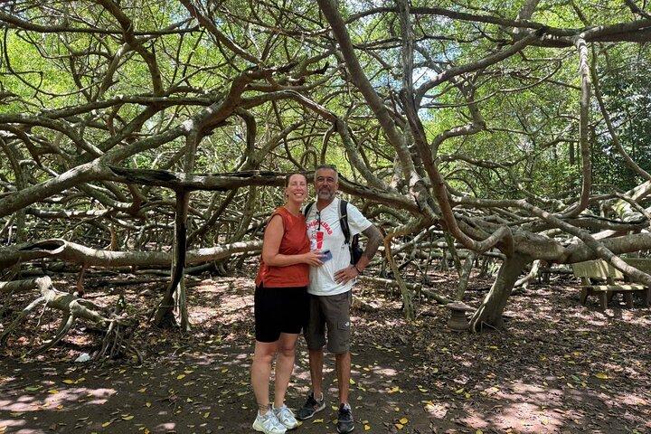 Can Tho: Lung Ngoc Hoang Nature Reserve & Hidden Forests