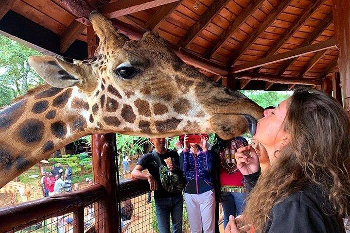 Nairobi Park and Giraffe Center Half Day Tour