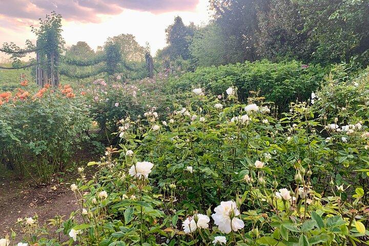 A Self-Guided Audio Tour of Primrose Hill and Regents Park