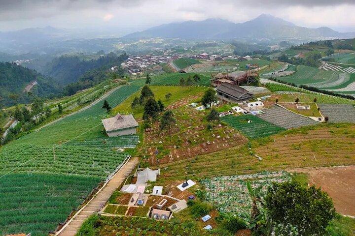Day Tour to Nepal Van Java & Selogriyo Temple from Yogyakarta