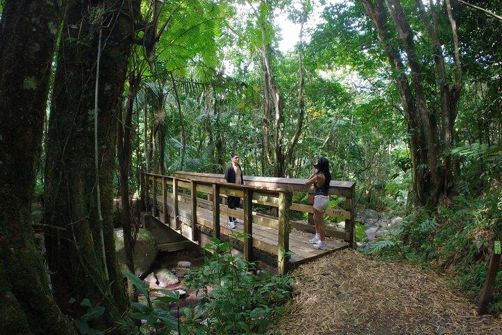 El Yunque Beach Jetski + Rainforest Hike Adventure Tour