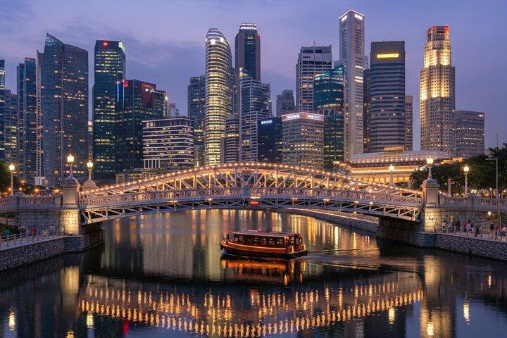 Singapore Night Tour with City Lights Skyline and River Views