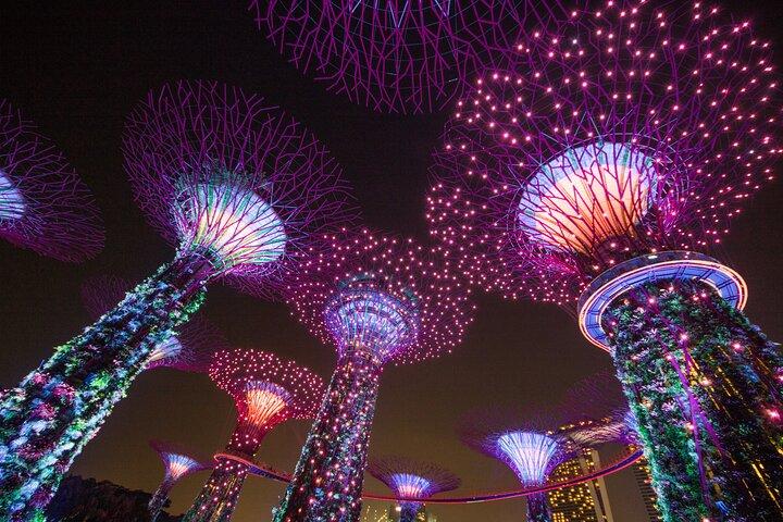 Singapore Night Tour with City Lights Skyline and River Views