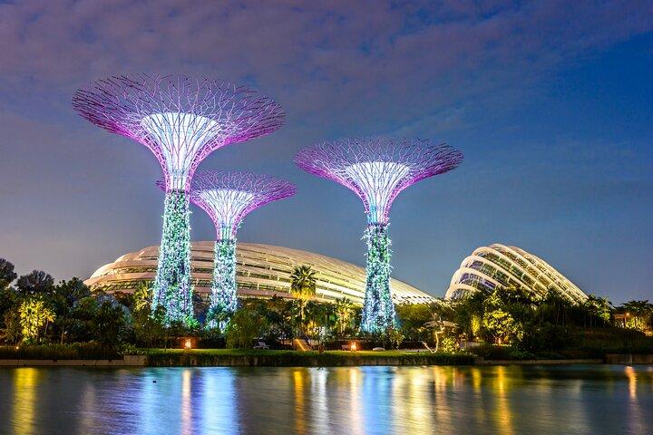 Singapore Night Tour with City Lights Skyline and River Views
