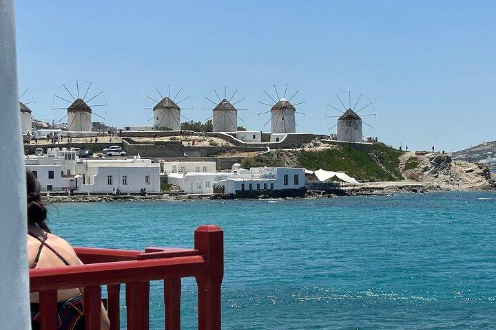 Small Group Mykonos Shore Excursion Port Pickup and Return