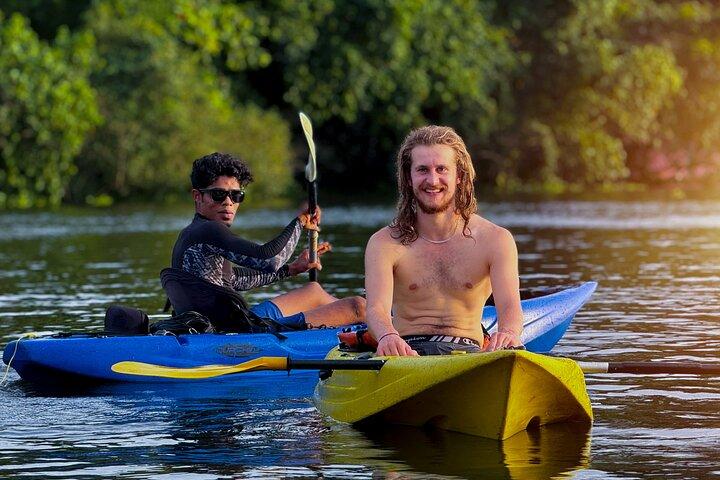 Kayaking in Kochi Guided Backwater and Mangrove Experience