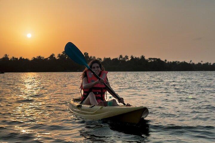 Kayaking in Kochi Guided Backwater and Mangrove Experience
