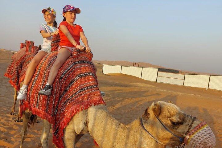 Desert Safari Camel Ride BBQ Dinner Sunset View Ras al Khaimah