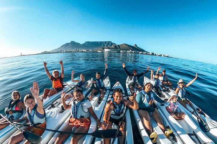 Dolphin kayaking tours Cape Town marine excursion