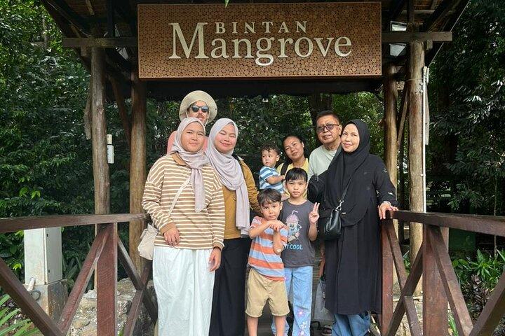Bintan Mangrove and Fireflies Tour